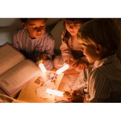 The ZooFamily, Zoo Light, Flashlight - Dino