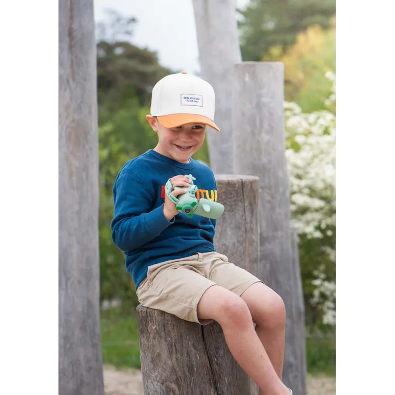 The ZooFamily, Zoo Videocamera, for ages 5-11 – Dino
