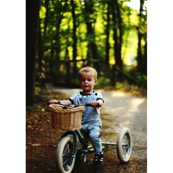 Trybike Woven Basket for Bicycle