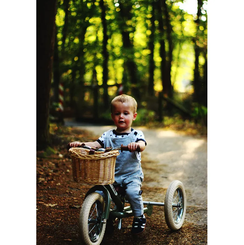 Trybike Woven Basket for Bicycle