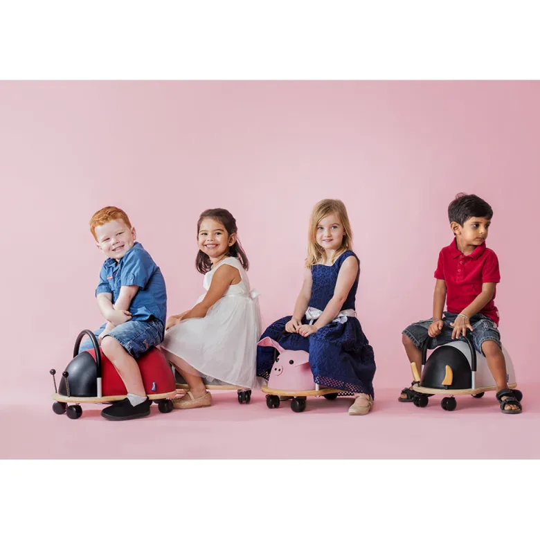 Wheely Bug, Ladybug - Large