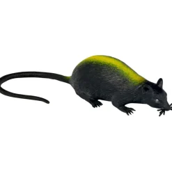 Wild+ Cool Sewer Rat