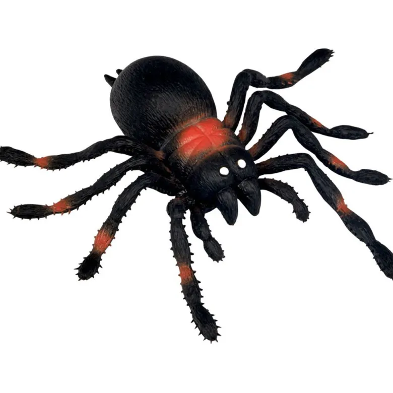 Wild+ Cool, XXL Basement Spider